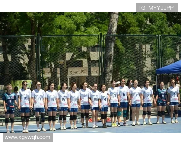 北京排球队战术实力分析排球战术排行榜揭示第七名的背后故事 北京排球队战术实力分析排球战术排行榜揭示第七名的背后故事