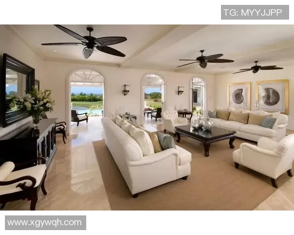 巴西足球明星的豪宅揭秘他们的居住地与生活方式