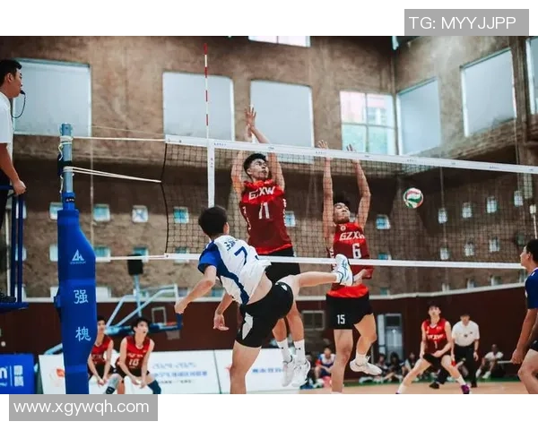 广州排球队强势崛起排球配合排行榜荣获第五名佳绩