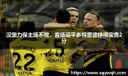 汉堡力保主场不败，客场逼平多特蒙德挣得宝贵2分